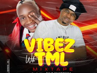 TML VIBEZ: Vibez with TML Mixtape by DJ Shegzzeey